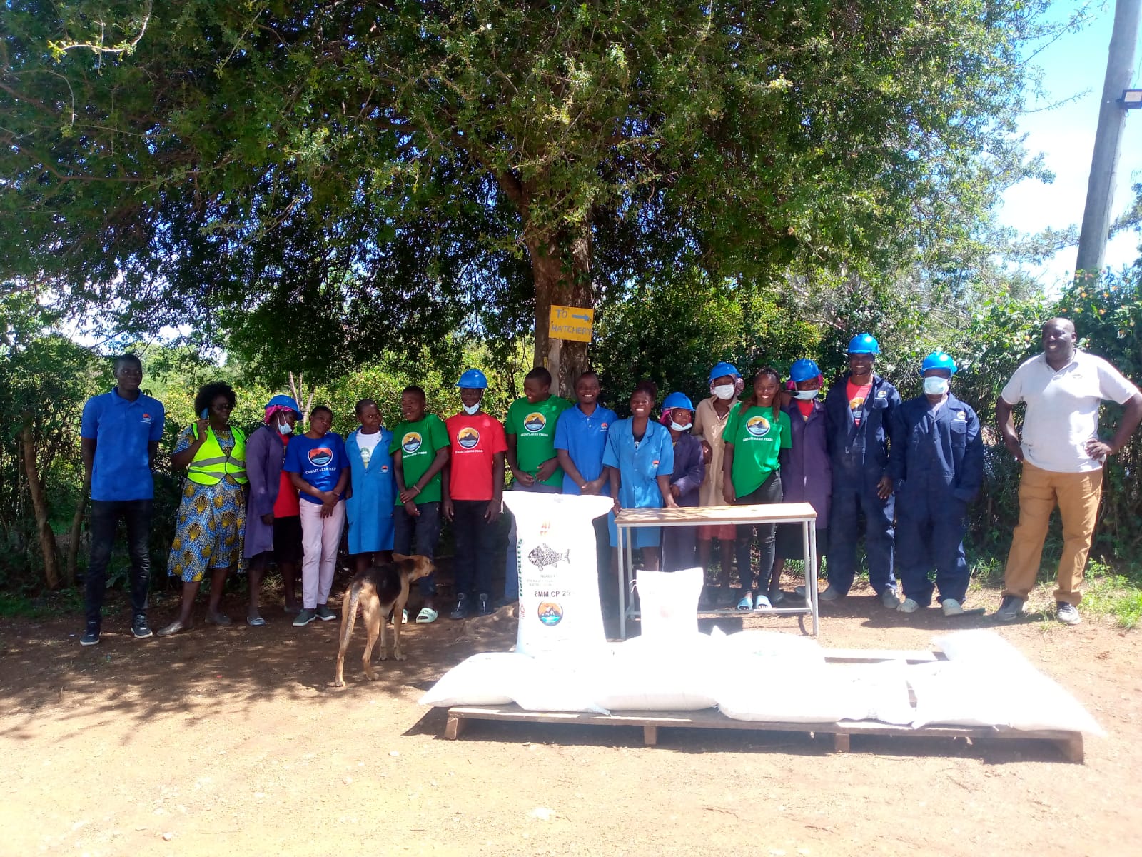 GreatLakes Feeds farmer training